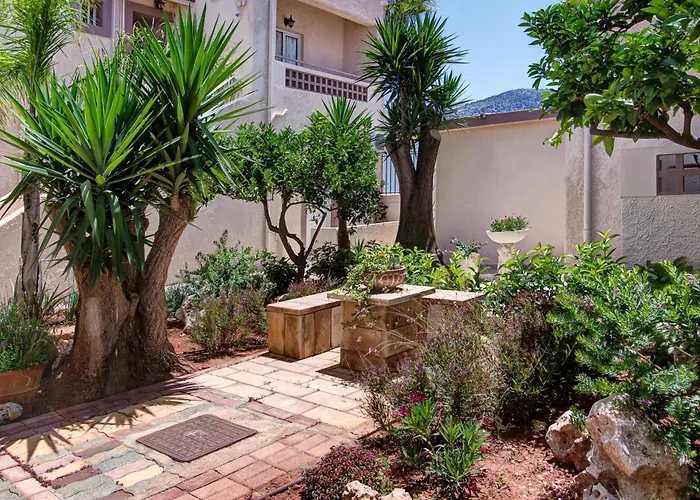 Le Palme